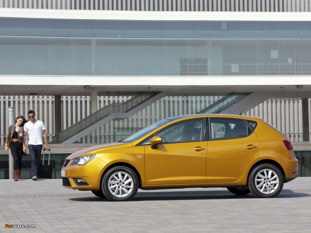 Photos of Seat Ibiza 2012 (1024 x 768)