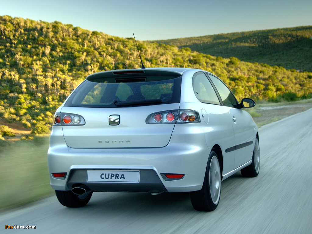 Pictures of Seat Ibiza Cupra ZA-spec 2006 (1024 x 768)