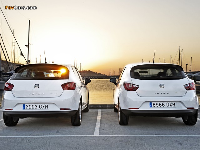 Pictures of Seat Ibiza (IV) 2008 (640 x 480)