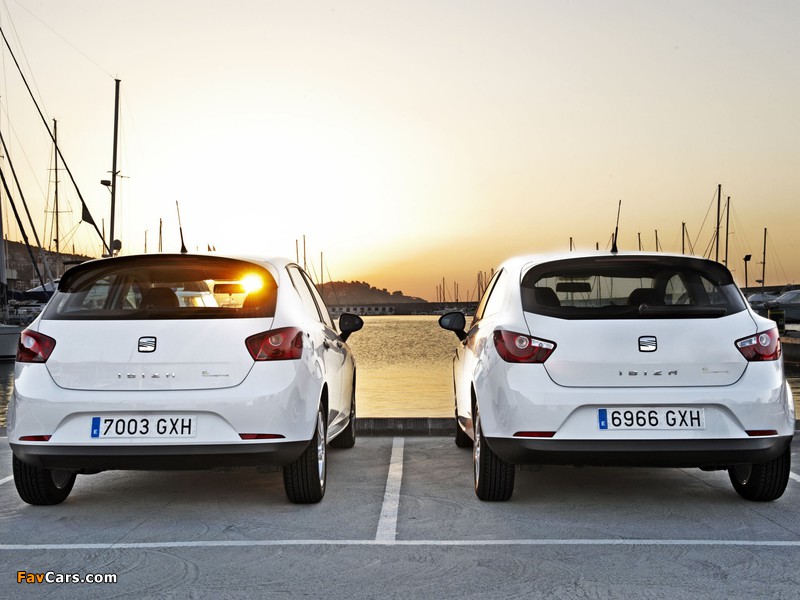 Pictures of Seat Ibiza (IV) 2008 (800 x 600)