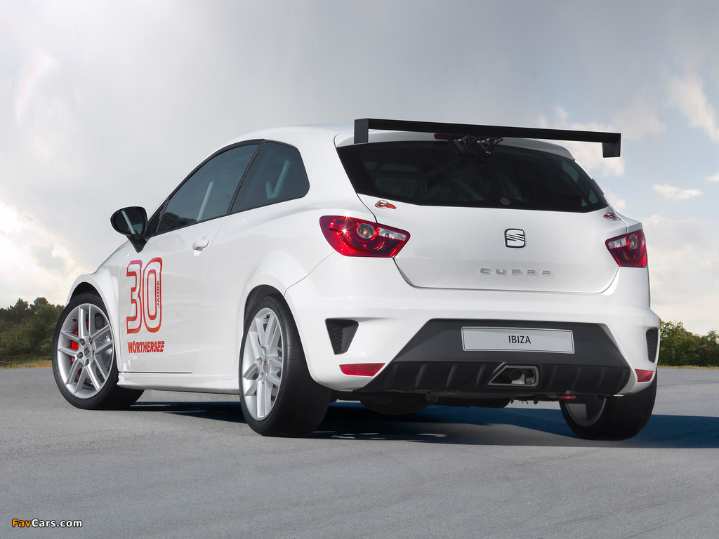 Pictures of Seat Ibiza SC Trophy 2011 (1024 x 768)