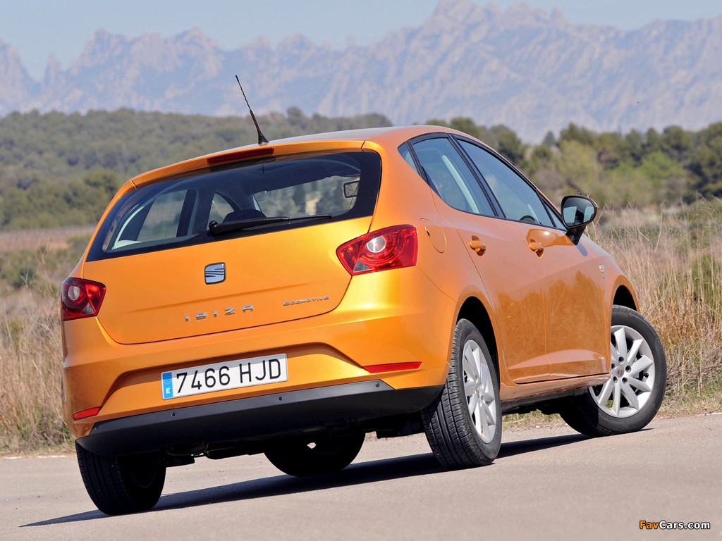 Pictures of Seat Ibiza 2012 (1024 x 768)