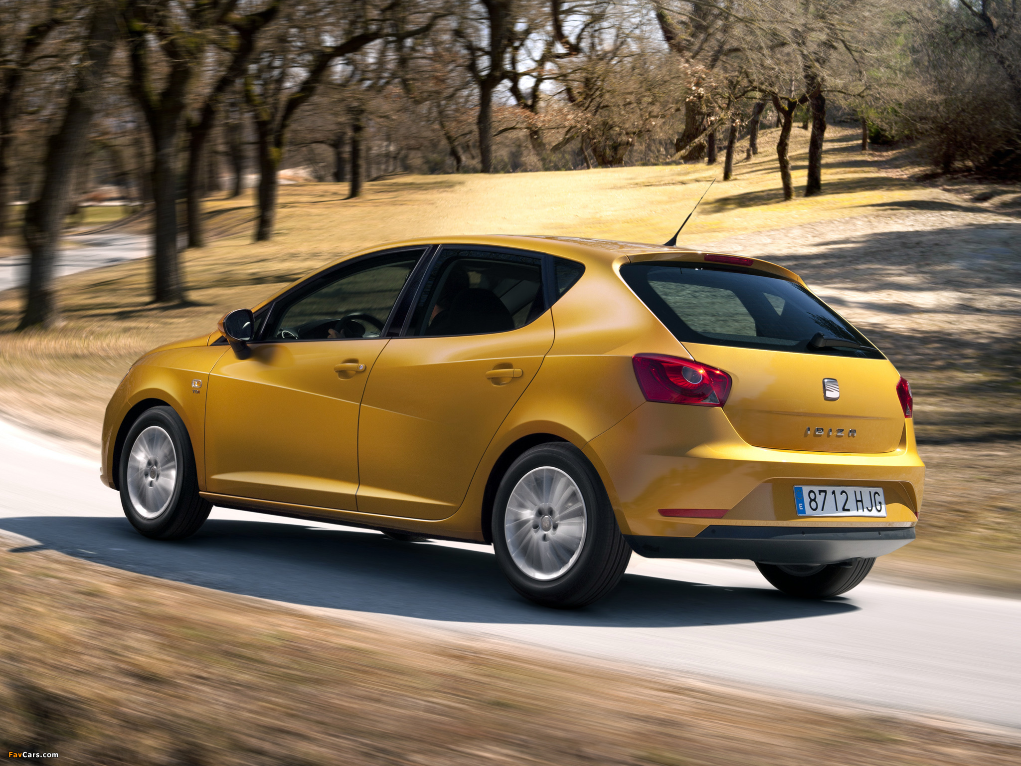 Pictures of Seat Ibiza 2012 (2048 x 1536)