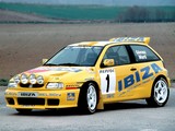 Seat Ibiza Kit Car Evo 1995–2000 images
