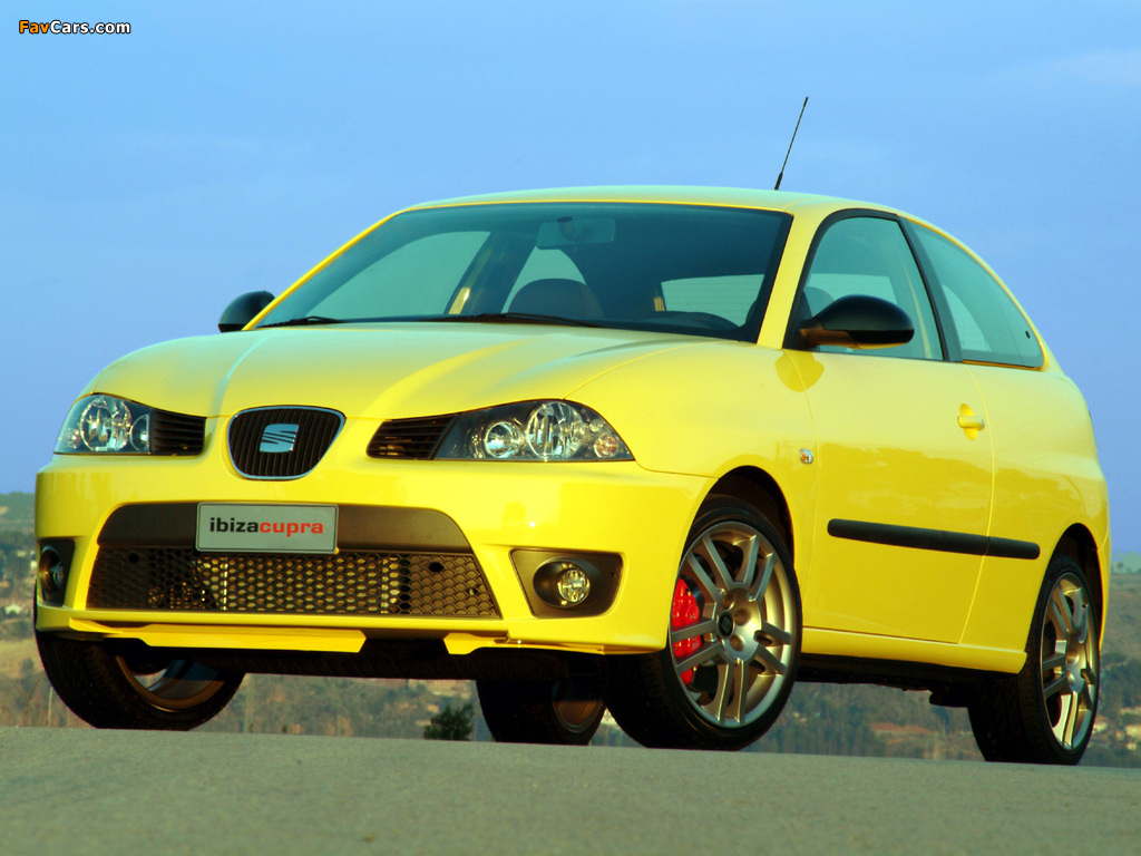 Seat Ibiza Cupra TDI 2004–08 pictures (1024 x 768)