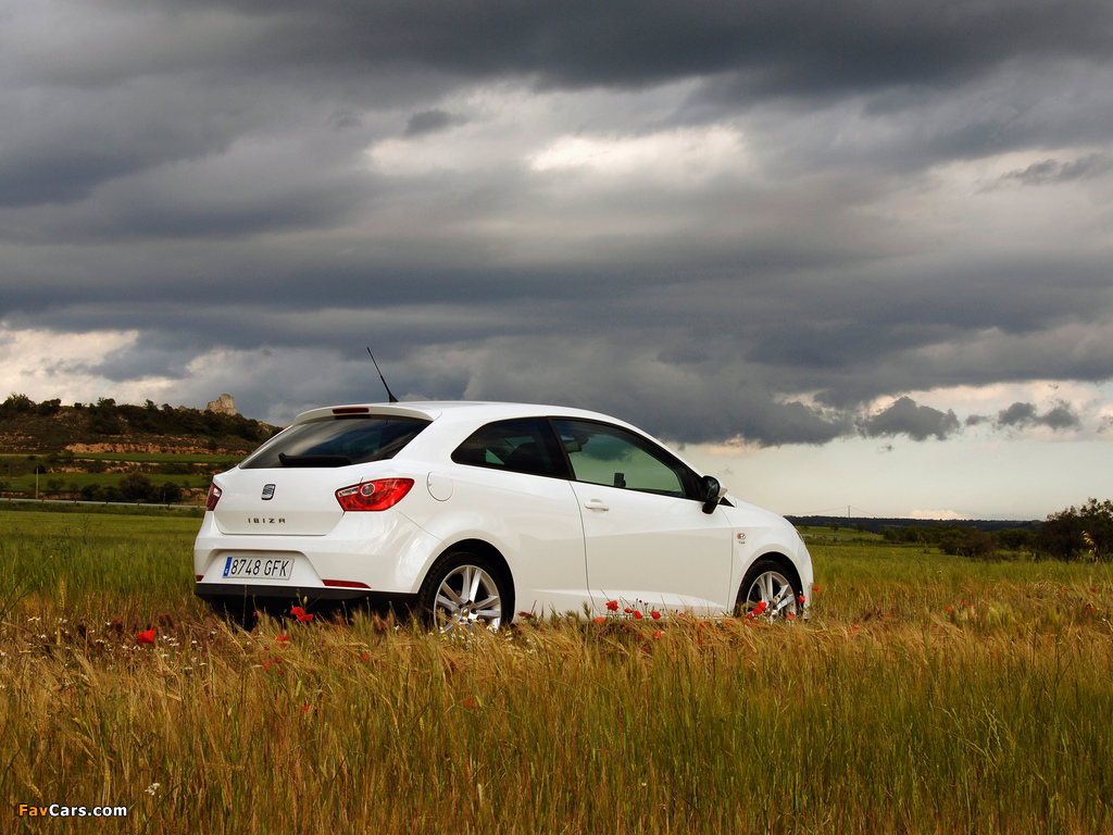 Seat Ibiza SC 2008–12 pictures (1024 x 768)