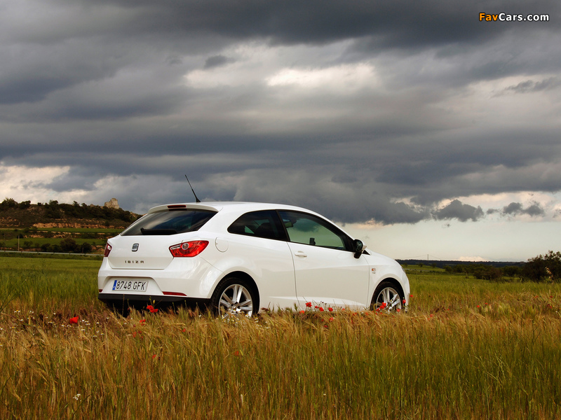 Seat Ibiza SC 2008–12 pictures (800 x 600)