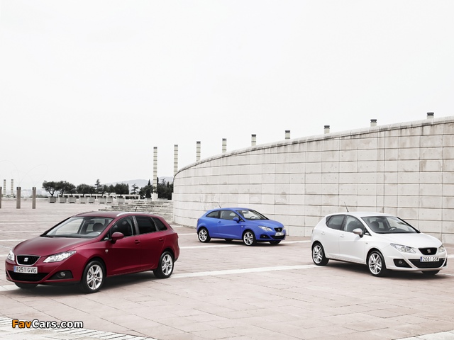 Seat Ibiza (IV) 2008 pictures (640 x 480)