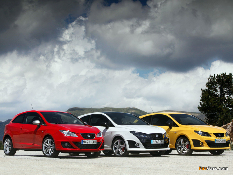 Seat Ibiza (IV) 2008 wallpapers (800 x 600)