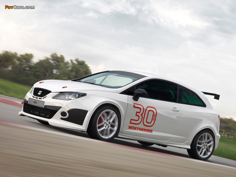 Seat Ibiza SC Trophy 2011 images (800 x 600)