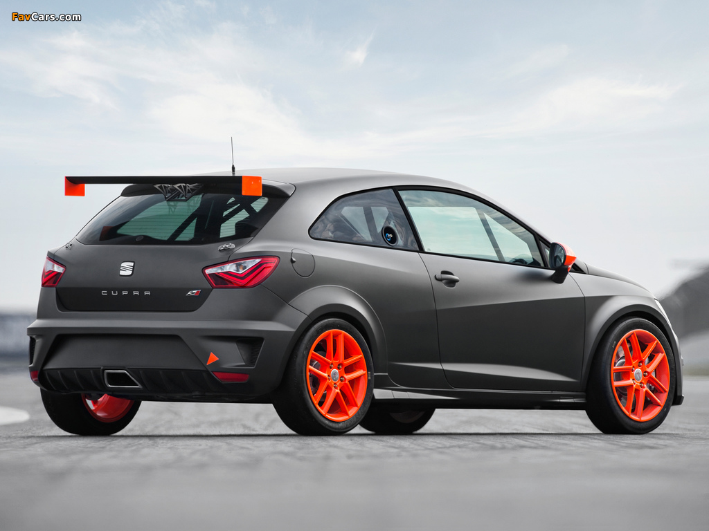 Seat Ibiza SC Trophy 2012 pictures (1024 x 768)