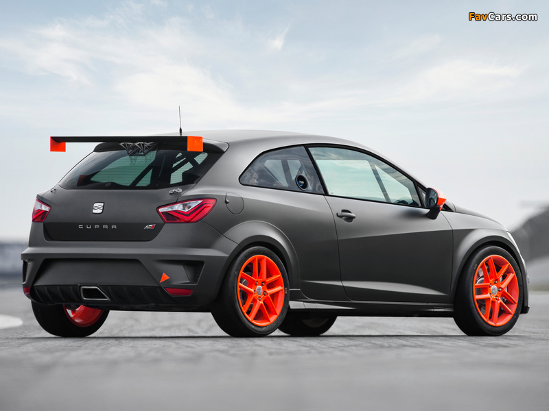 Seat Ibiza SC Trophy 2012 pictures (800 x 600)