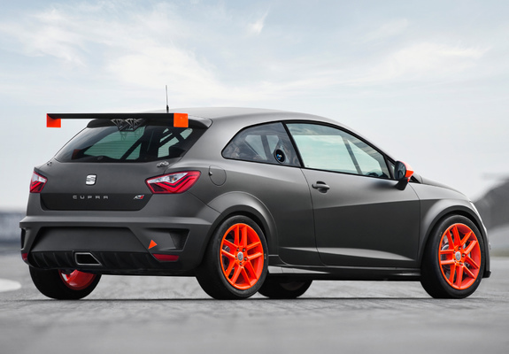 Seat Ibiza SC Trophy 2012 pictures