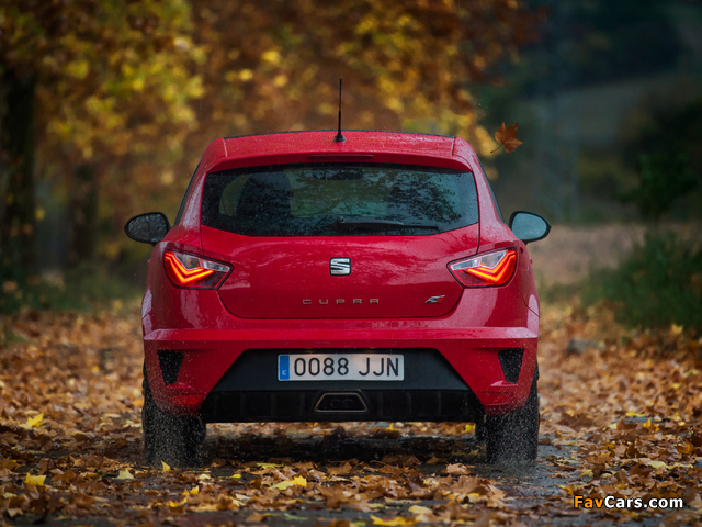 Seat Ibiza Cupra 2015 photos (640 x 480)