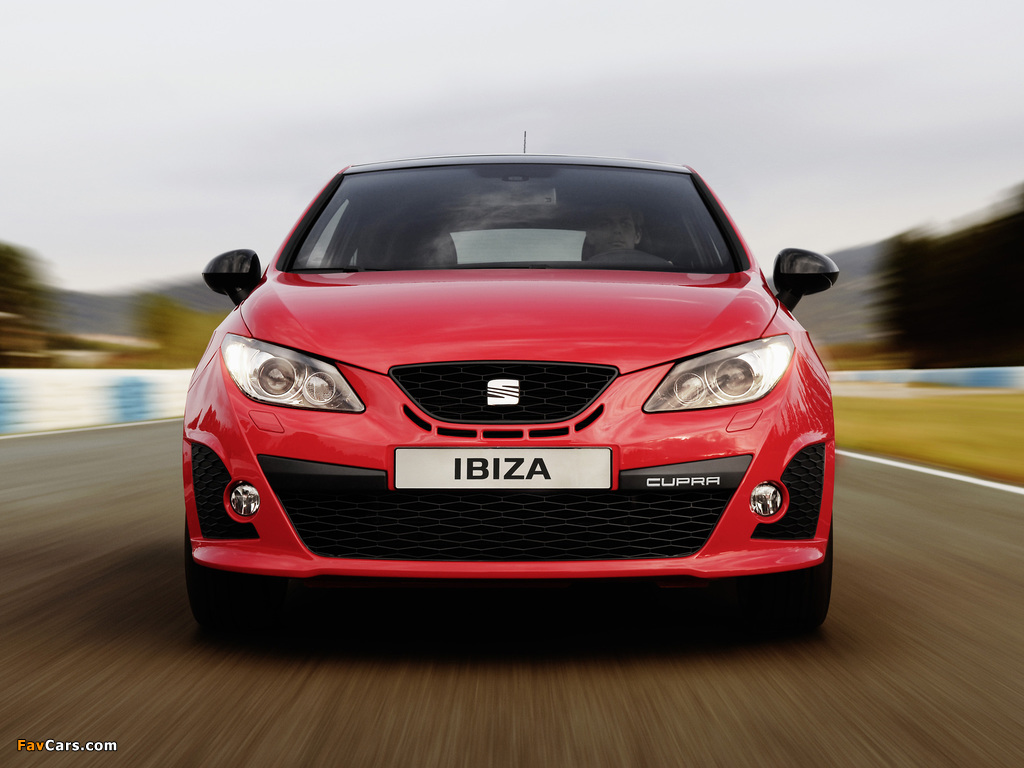 Seat Ibiza Cupra 2009–12 wallpapers (1024 x 768)