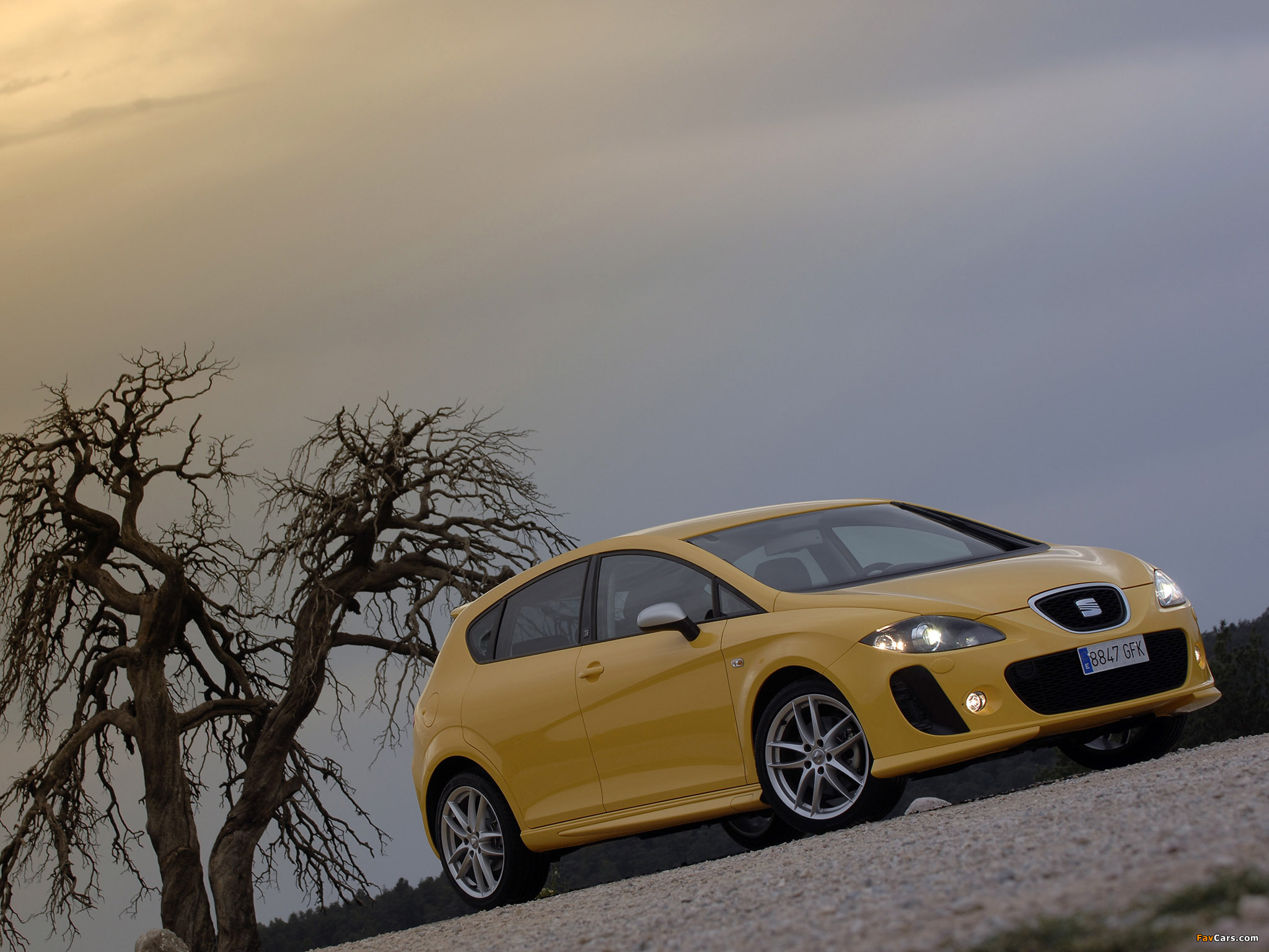 Pictures of Seat Leon Linea R 2008–09 (2048 x 1536)