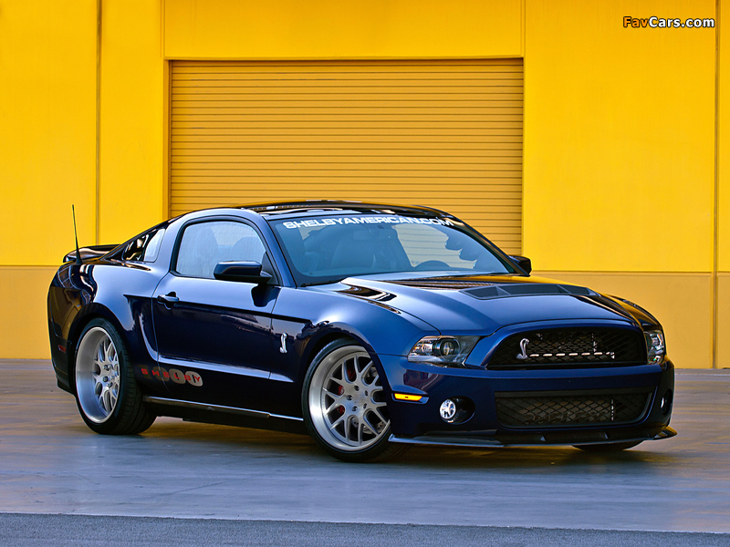 Images of Shelby 1000 2012 (800 x 600)