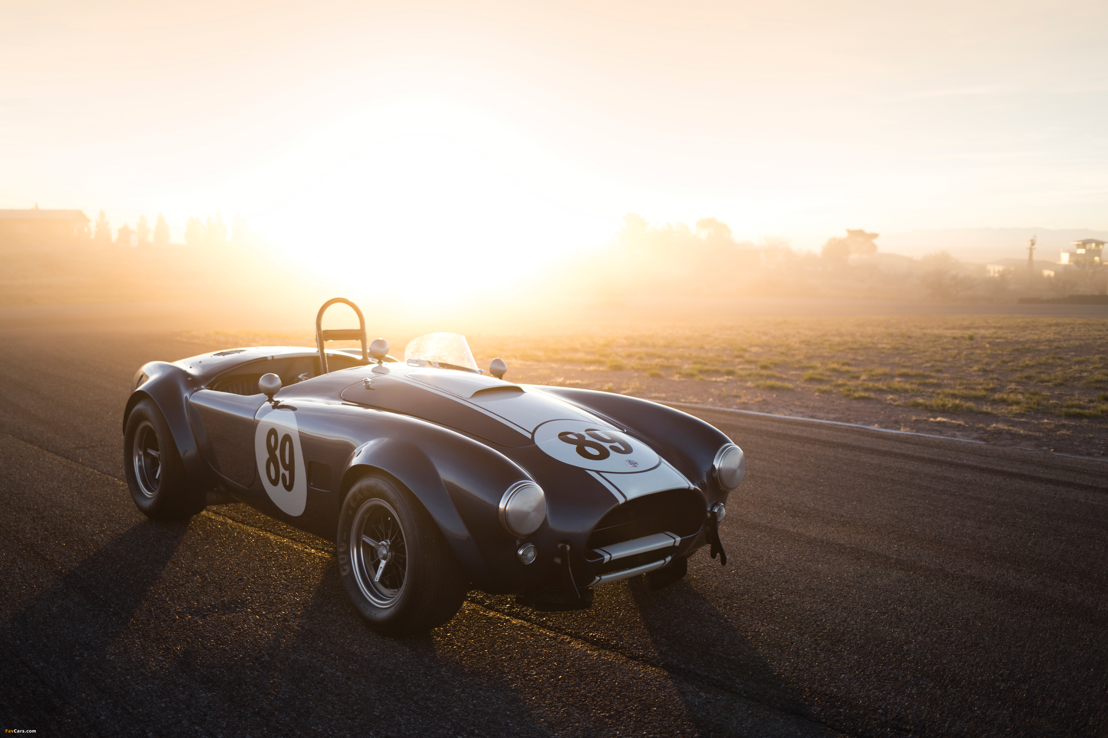 Images of Shelby Cobra 289 (CSX 2473) 1964 (3600 x 2400)