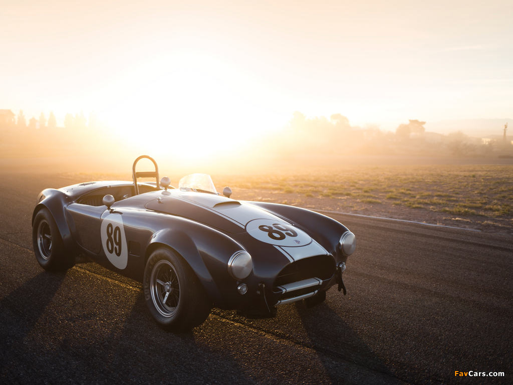 Images of Shelby Cobra 289 (CSX 2473) 1964 (1024 x 768)