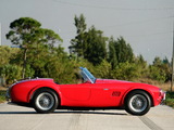 Images of Shelby Cobra 289 (CSX 2442) 1964