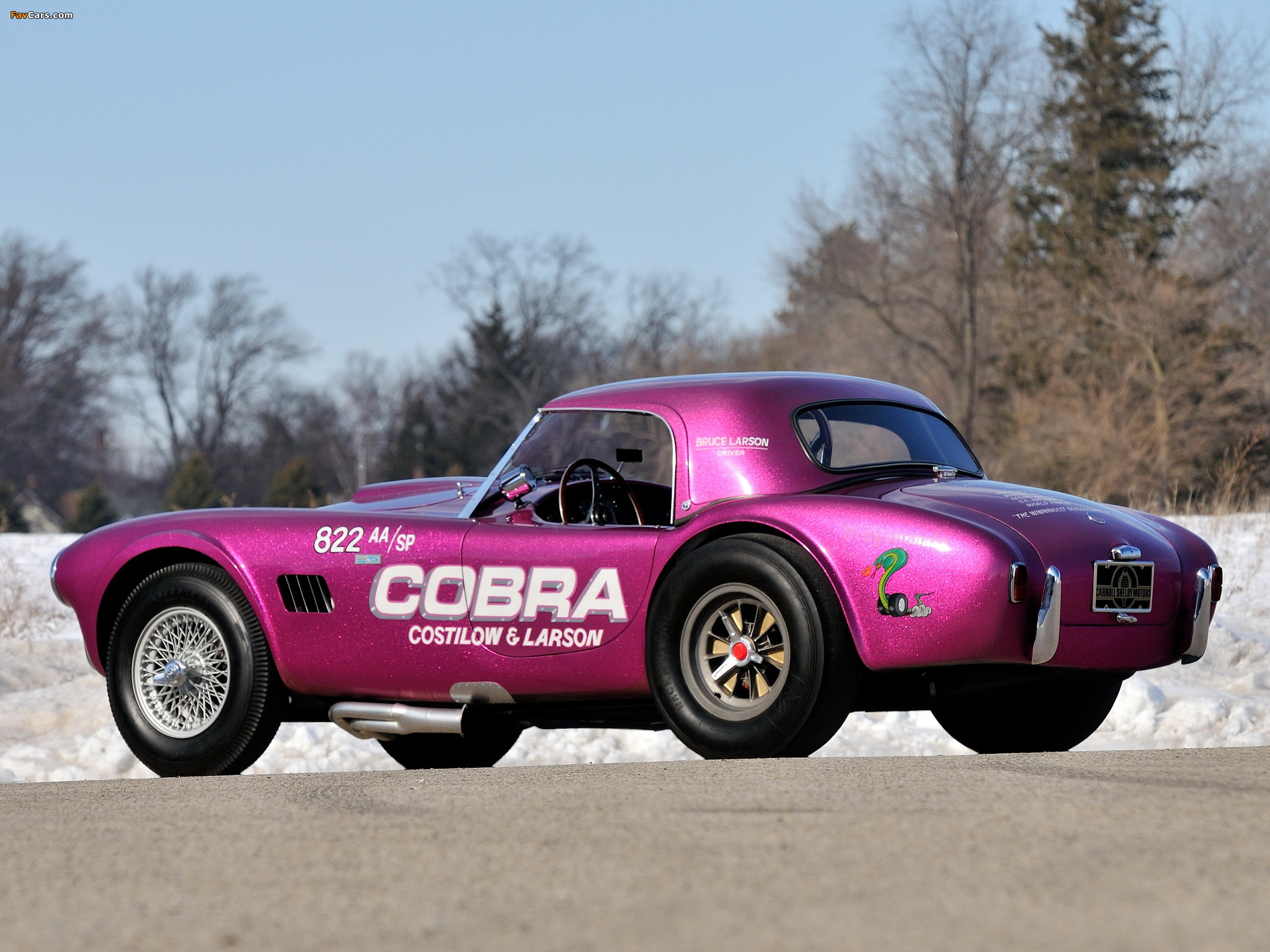 Photos of Shelby Cobra Coupe Dragon Snake 1963 (2048 x 1536)