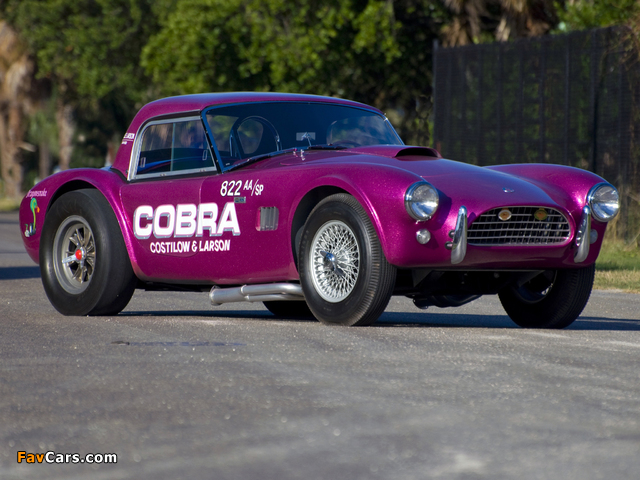 Photos of Shelby Cobra Coupe Dragon Snake 1963 (640 x 480)