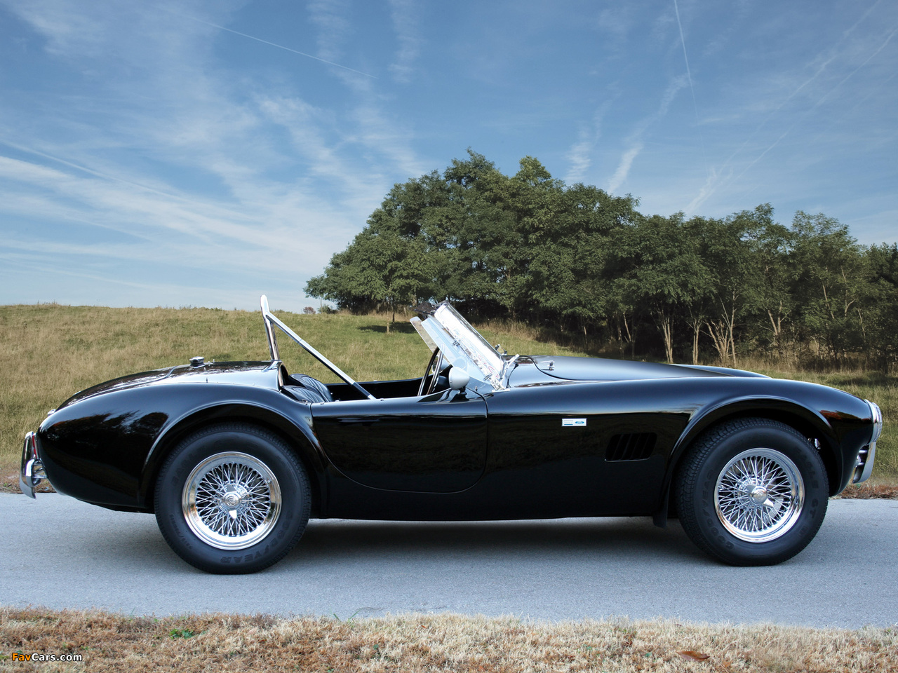 Photos of Shelby Cobra 289 (MkII) 1963–65 (1280 x 960)