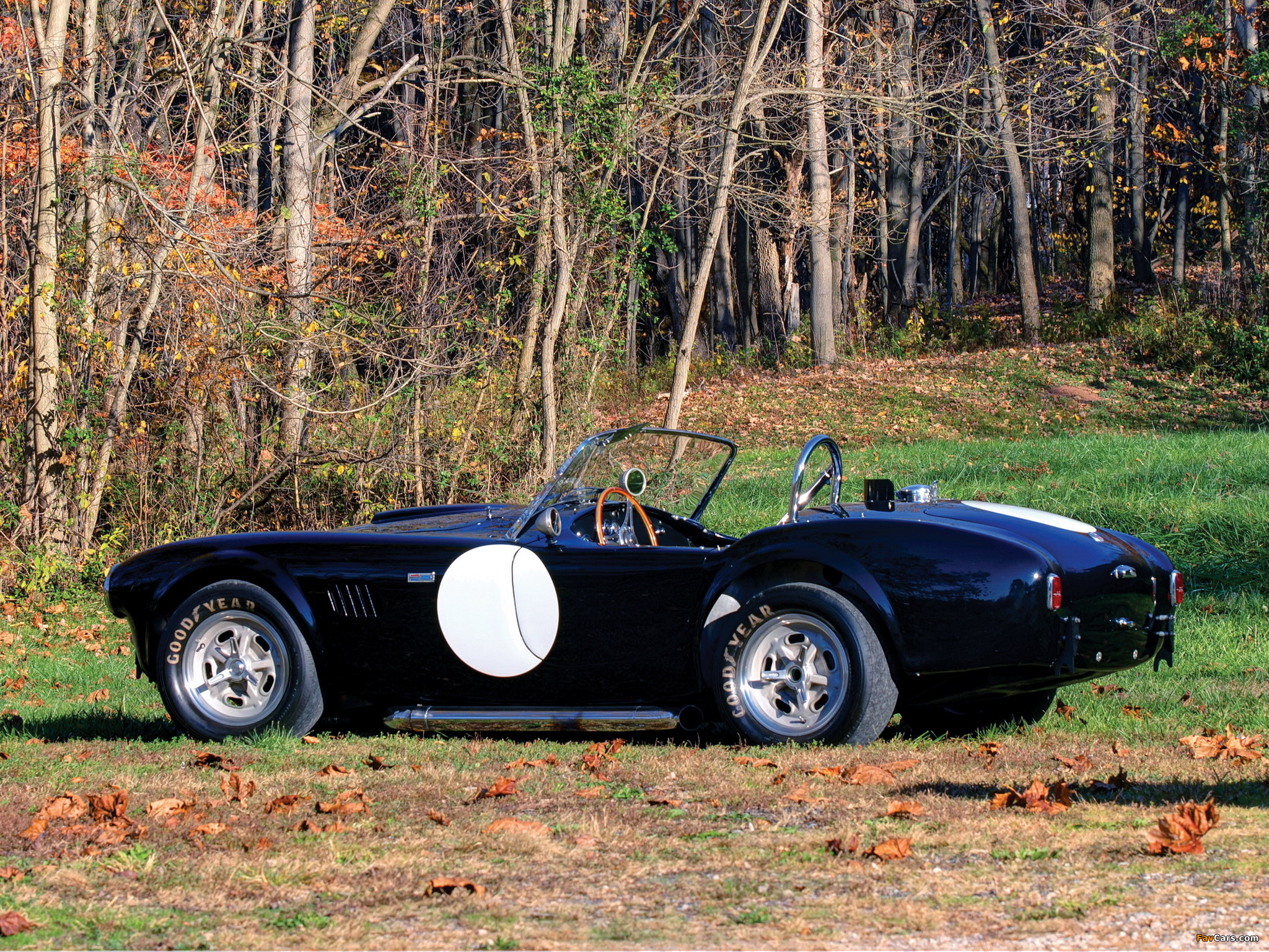 Pictures of Shelby Cobra 289 Factory Competition (#CSX 2032) 1962 (2048 x 1536)