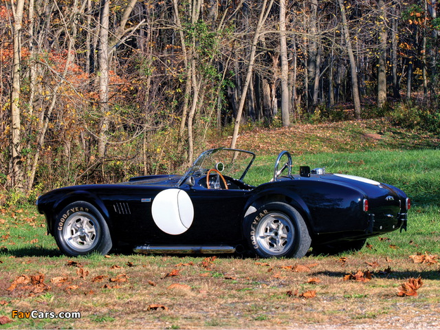 Pictures of Shelby Cobra 289 Factory Competition (#CSX 2032) 1962 (640 x 480)