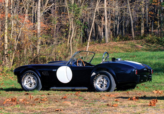 Pictures of Shelby Cobra 289 Factory Competition (#CSX 2032) 1962