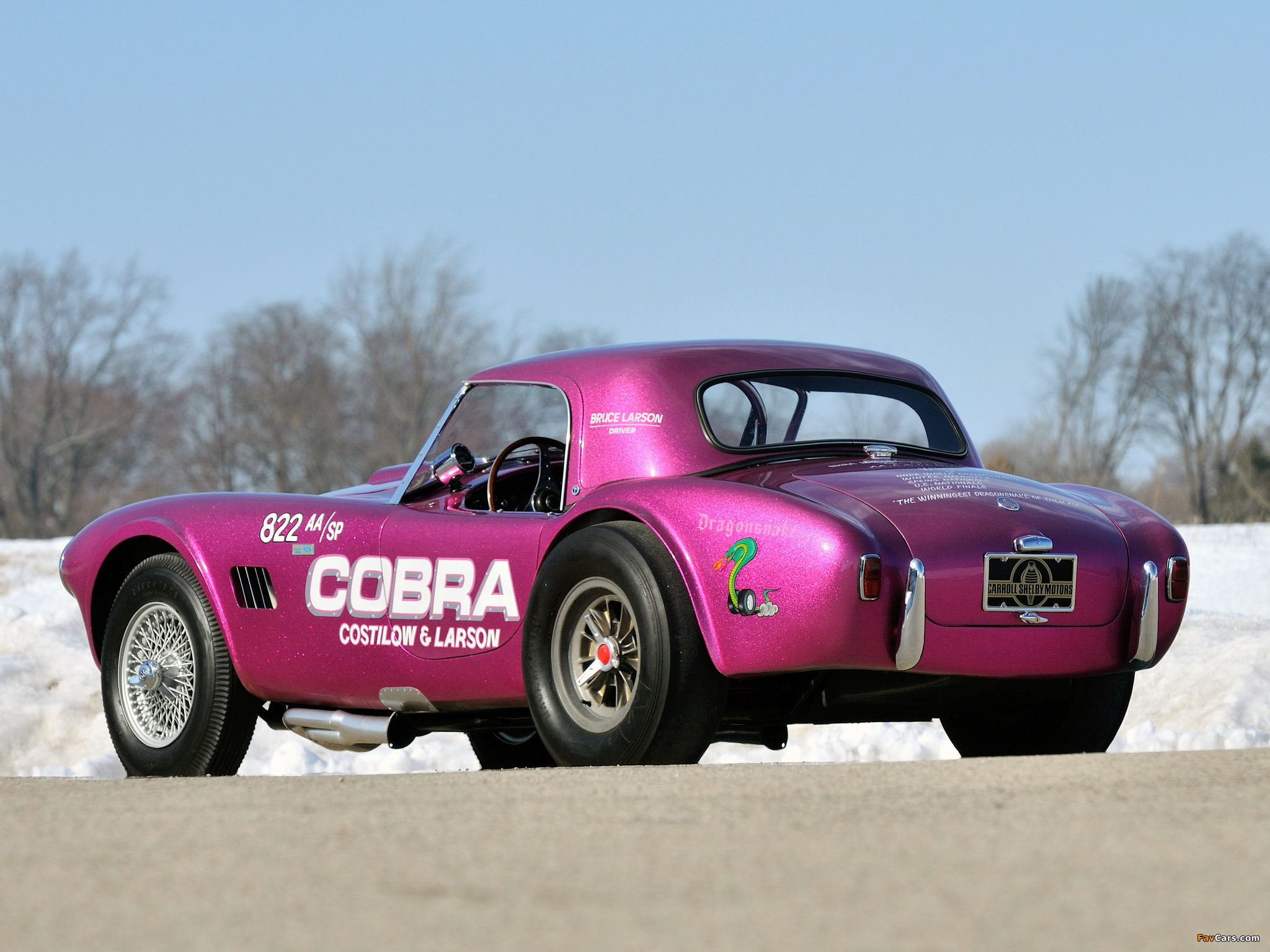 Pictures of Shelby Cobra Coupe Dragon Snake 1963 (2048 x 1536)