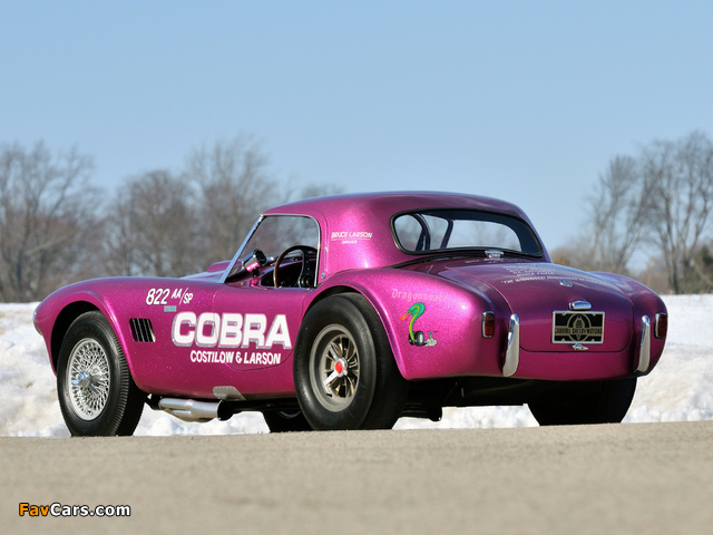 Pictures of Shelby Cobra Coupe Dragon Snake 1963 (640 x 480)