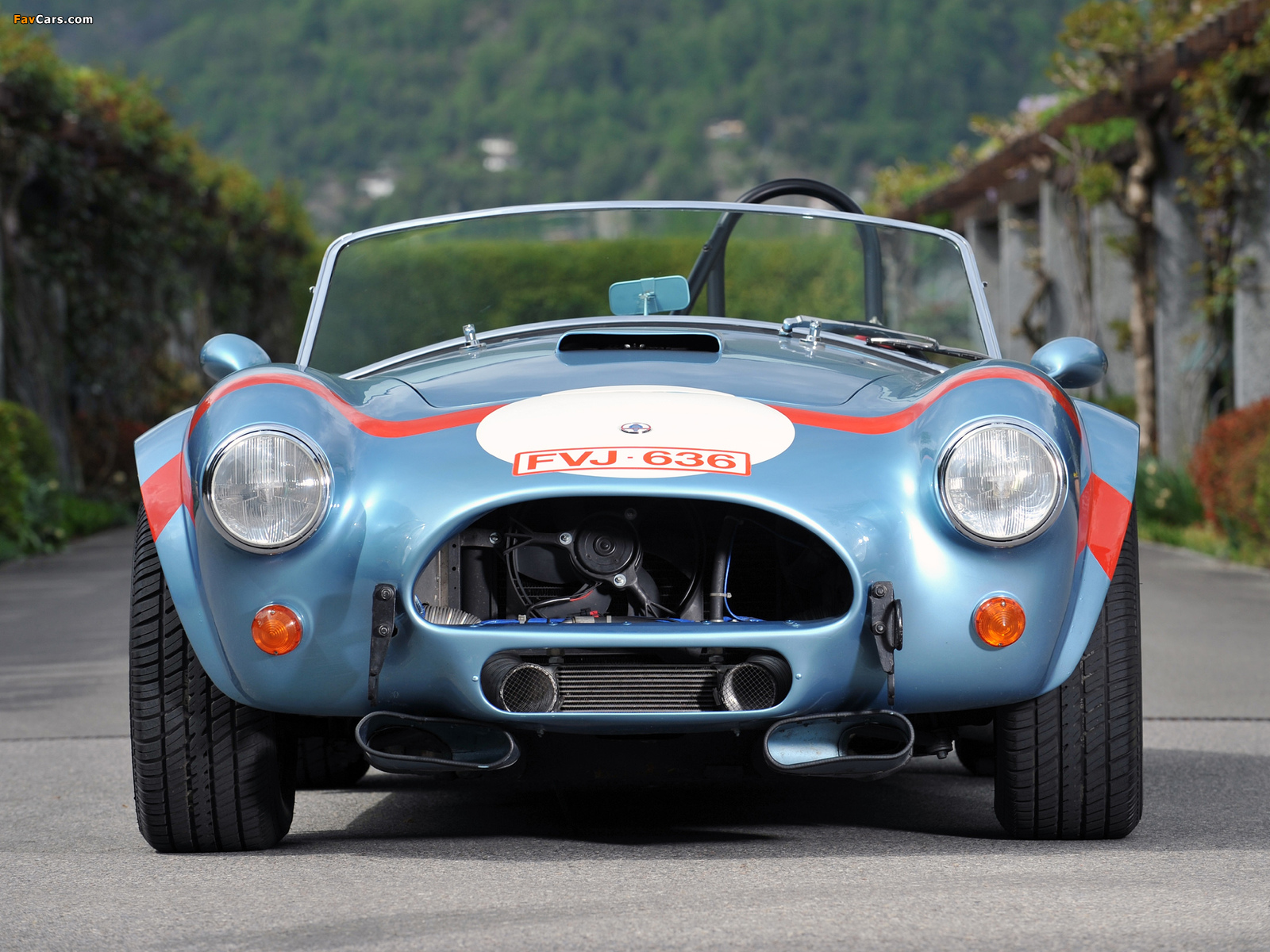 Pictures of Shelby Cobra Competition Roadster 1964 (1600 x 1200)