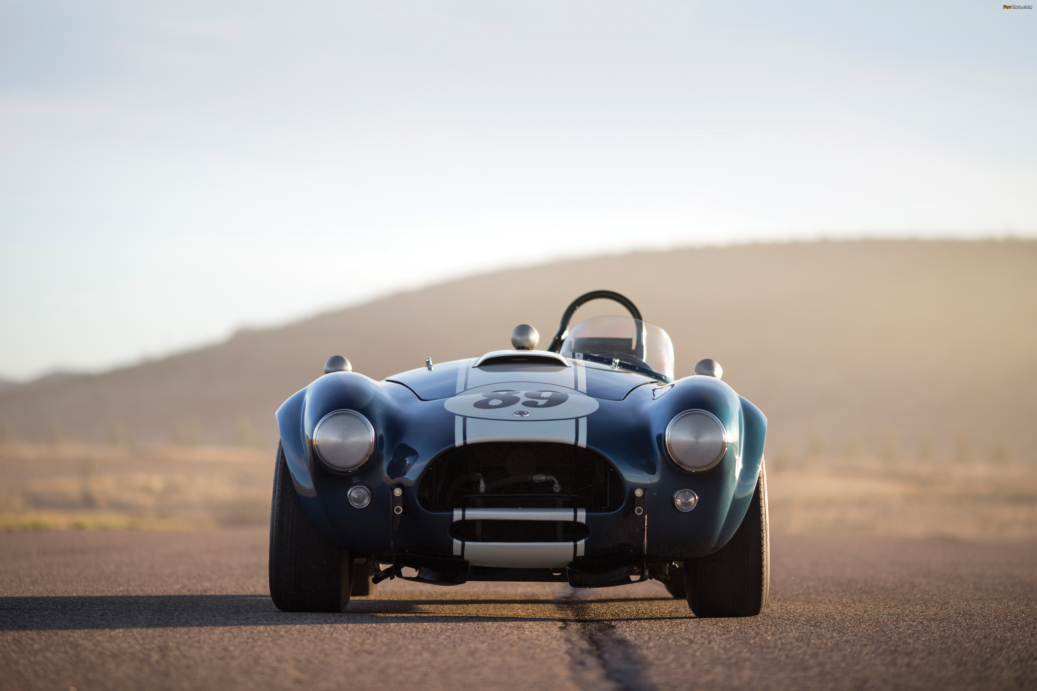 Pictures of Shelby Cobra 289 (CSX 2473) 1964 (3600 x 2400)