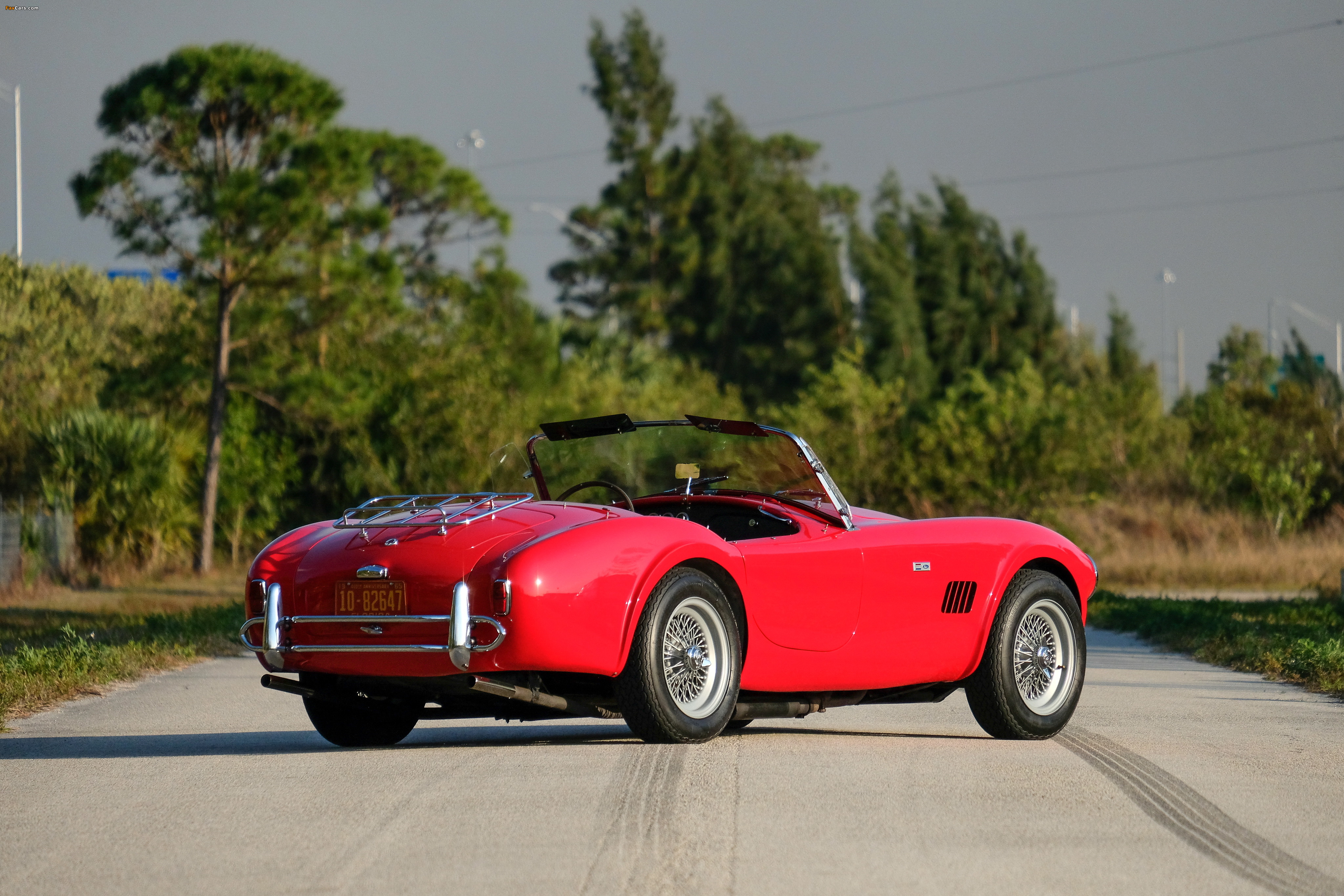 Pictures of Shelby Cobra 289 (CSX 2442) 1964 (4096 x 2731)