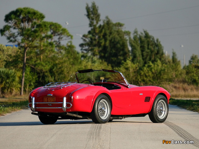 Pictures of Shelby Cobra 289 (CSX 2442) 1964 (640 x 480)