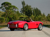 Pictures of Shelby Cobra 289 (CSX 2442) 1964