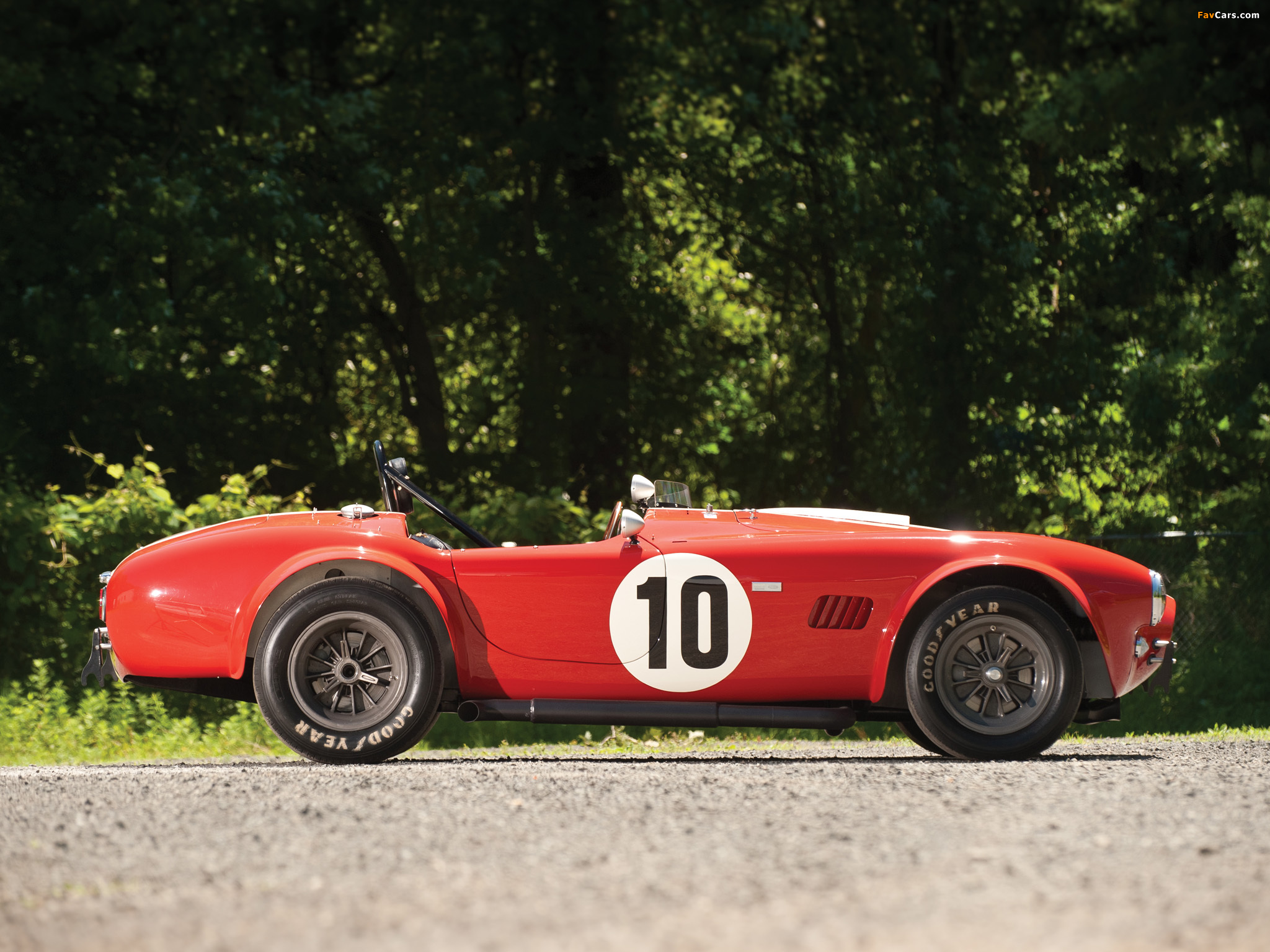 Pictures of Shelby Cobra Competition Roadster 1964 (2048 x 1536)