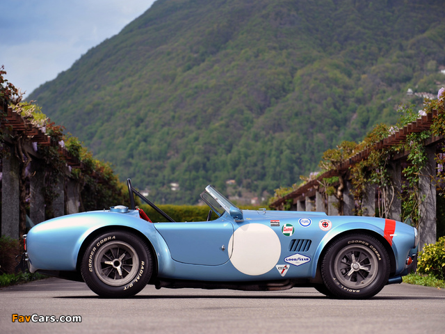 Pictures of Shelby Cobra Competition Roadster 1964 (640 x 480)