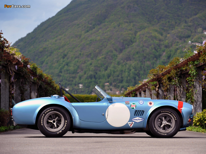 Pictures of Shelby Cobra Competition Roadster 1964 (800 x 600)