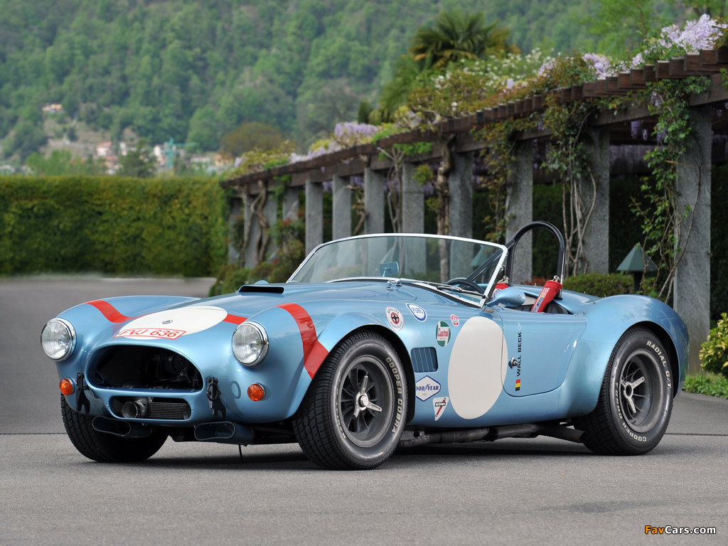 Pictures of Shelby Cobra Competition Roadster 1964 (1024 x 768)