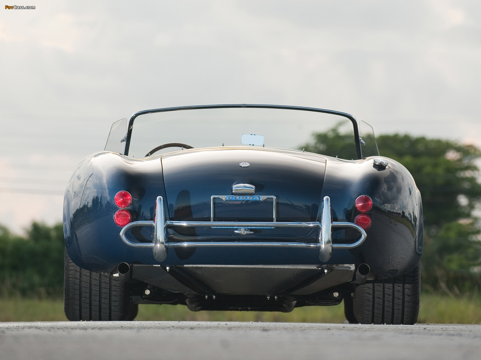 Pictures of Shelby Cobra 427 (MkIII) 1966–67 (1600 x 1200)