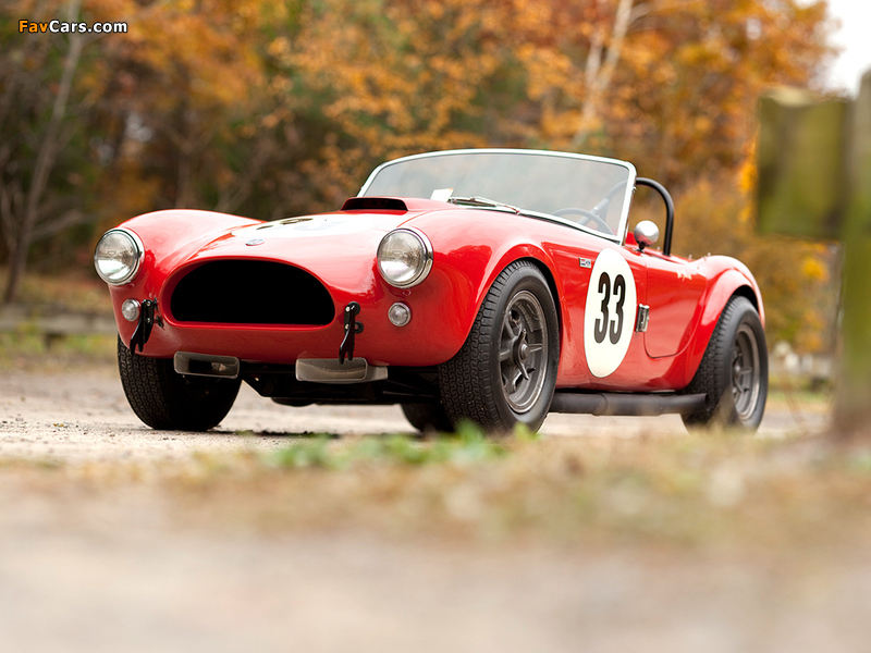 Shelby Cobra 260 Factory Competition (#CSX 2026) 1962 pictures (800 x 600)