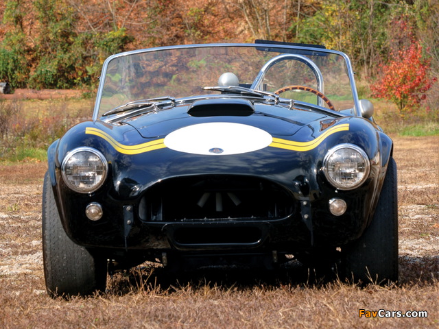 Shelby Cobra 289 Factory Competition (#CSX 2032) 1962 wallpapers (640 x 480)