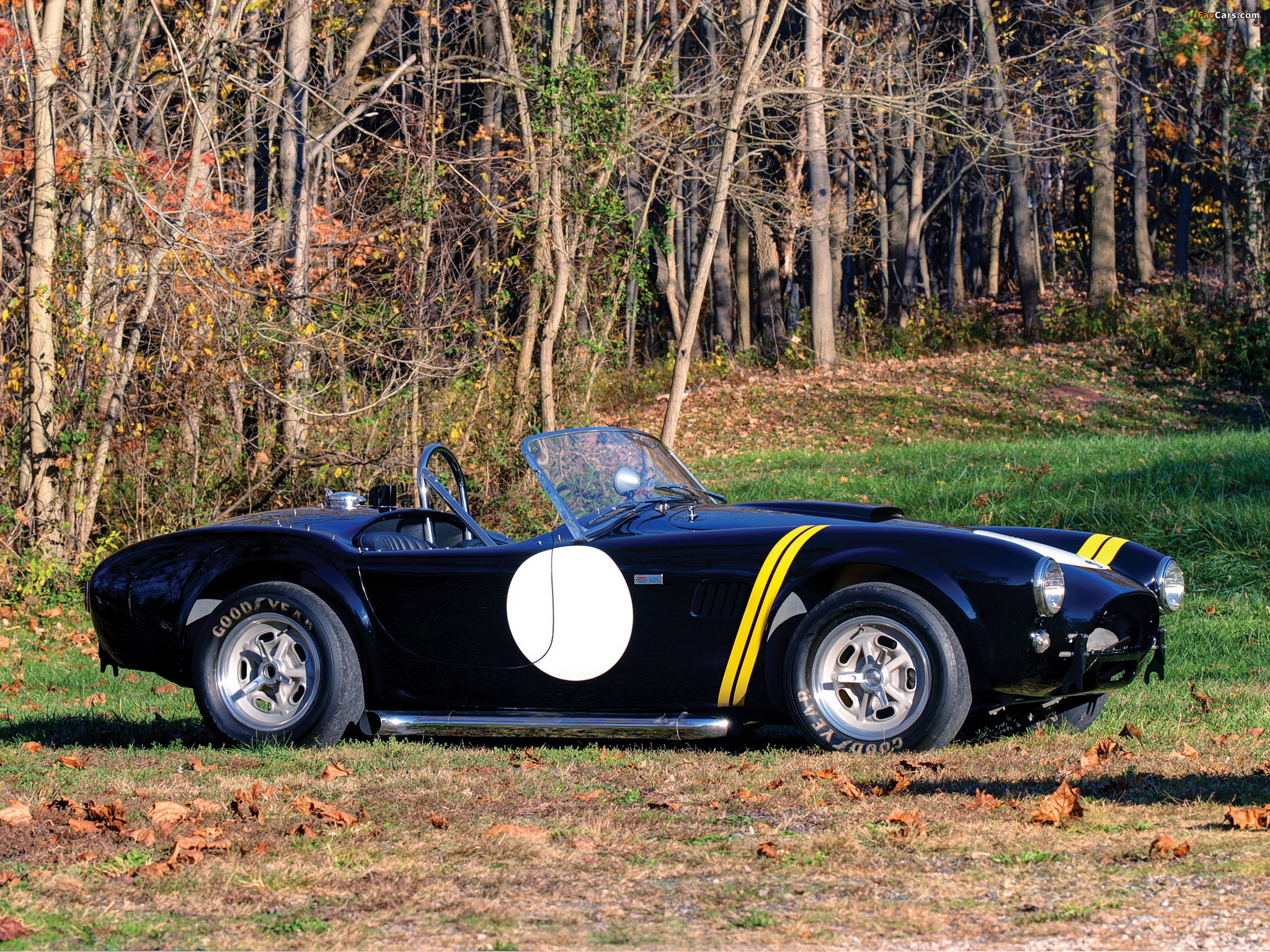 Shelby Cobra 289 Factory Competition (#CSX 2032) 1962 wallpapers (2048 x 1536)