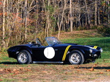 Shelby Cobra 289 Factory Competition (#CSX 2032) 1962 wallpapers