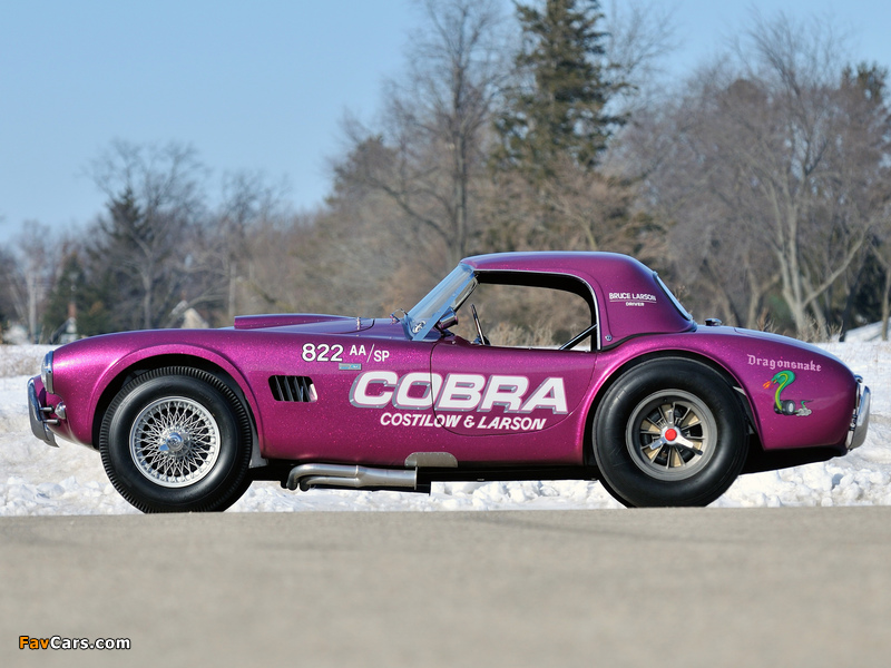 Shelby Cobra Coupe Dragon Snake 1963 photos (800 x 600)