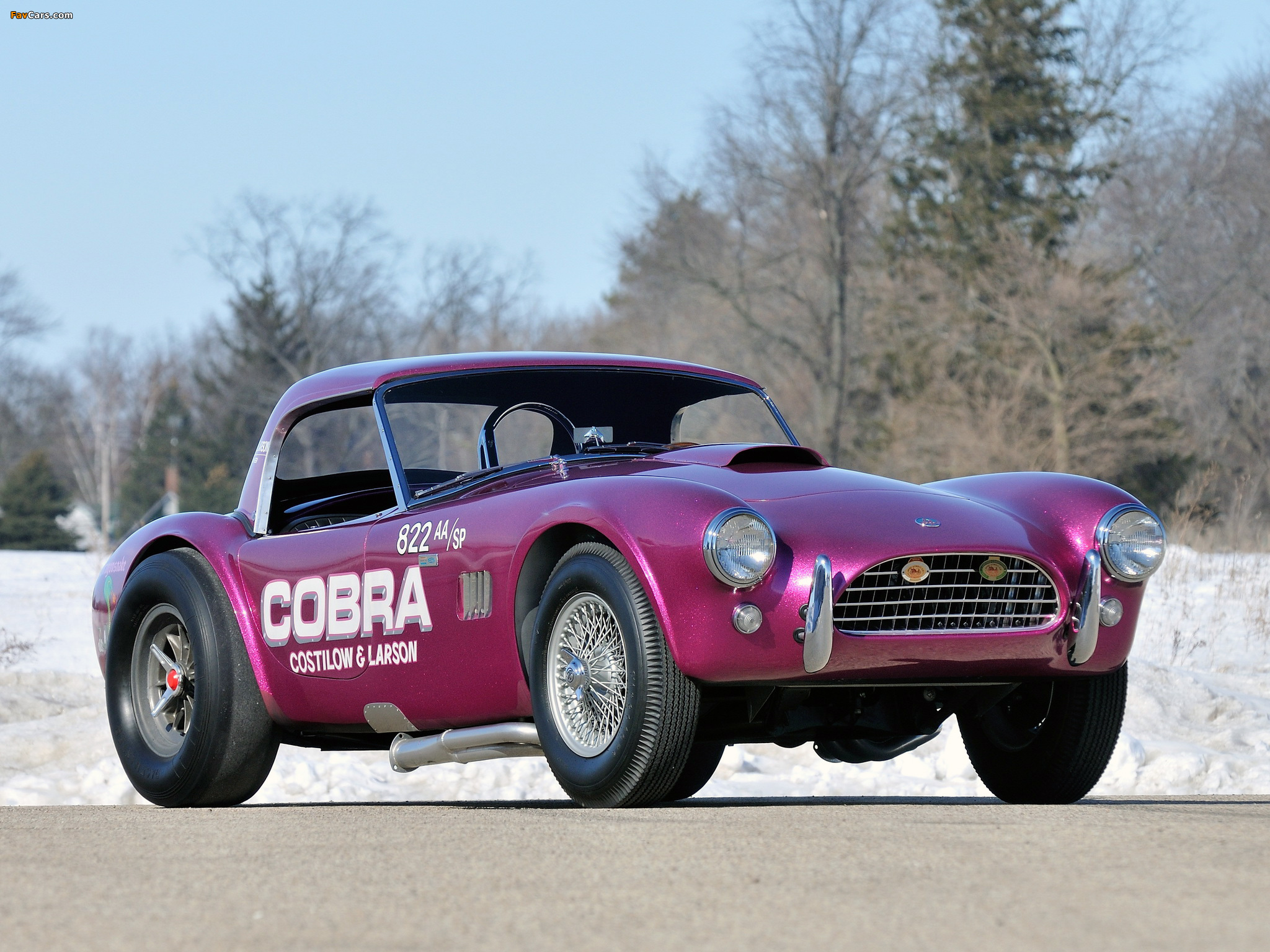 Shelby Cobra Coupe Dragon Snake 1963 wallpapers (2048 x 1536)