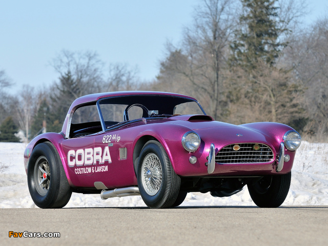 Shelby Cobra Coupe Dragon Snake 1963 wallpapers (640 x 480)