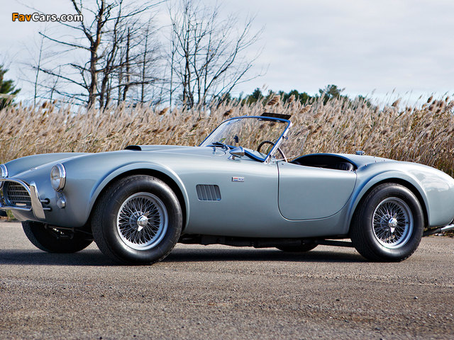 Shelby Cobra 289 (CSX 2411) 1964 images (640 x 480)